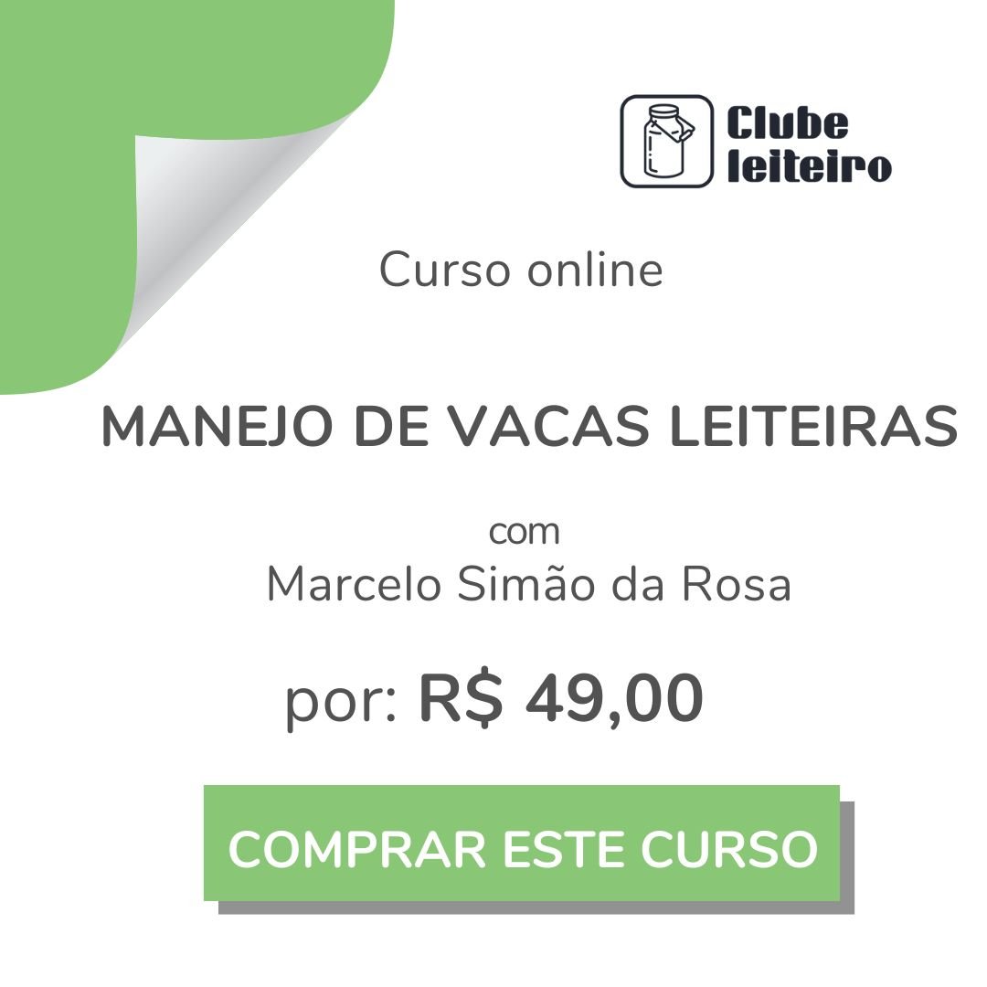 Manejo de vacas leiteiras