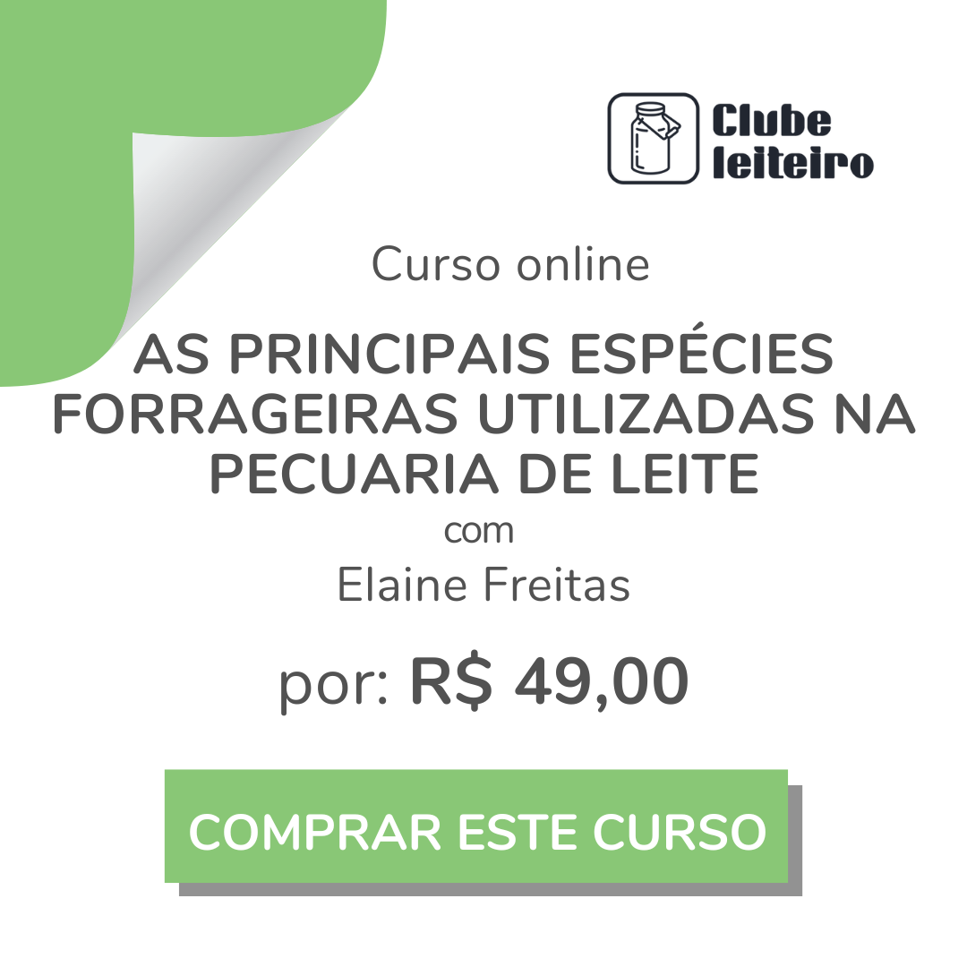 Banner de venda curso individual