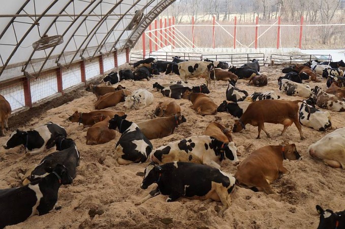 compost-barn-679x451